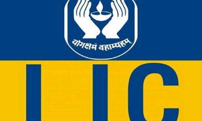 1.Life Insurance Corporation of India (LIC) 2.State Bank of India Life Insurance 3.ICICI Prudential Life Insurance 4.HDFC Standard Life Insurance 5.Max Life Insurance 6.Bajaj Allianz Life Insurance 7.Birla Sun Life Insurance 8.Reliance Nippon Life Insurance 9.TATA AIA Life Insurance 10.Kotak Life Insurance